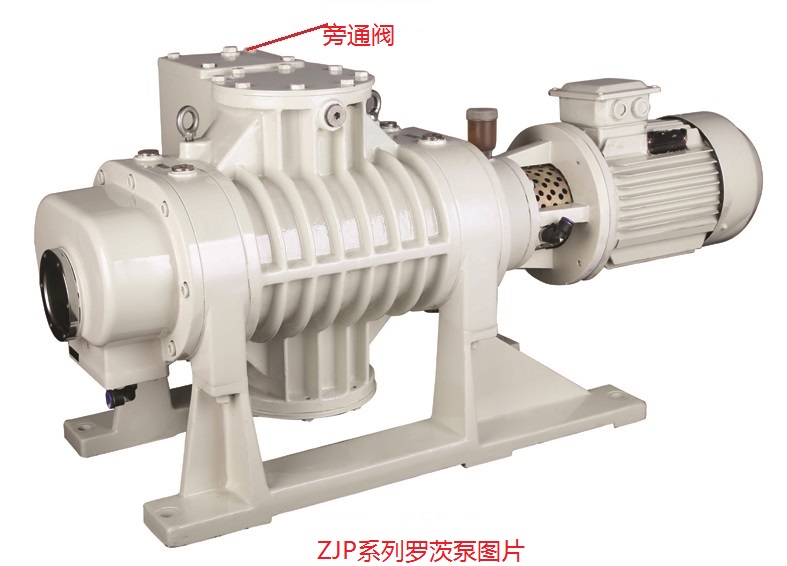 ZJP-300錛堜腑鏂囷級.jpg