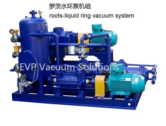 Roots pump.jpg