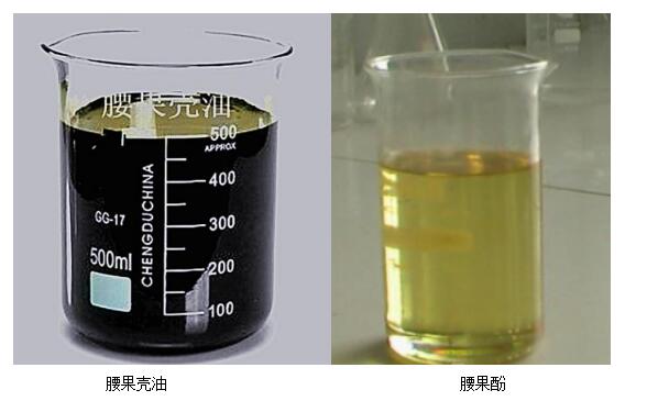 腰果殼油.jpg