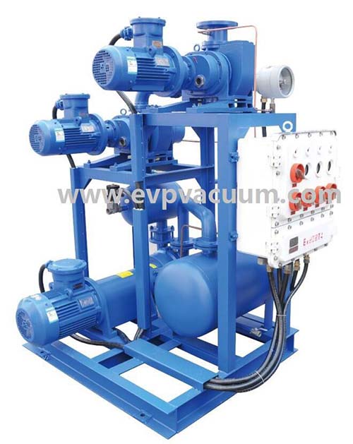 Roots-liquid ring vacuum solution.jpg