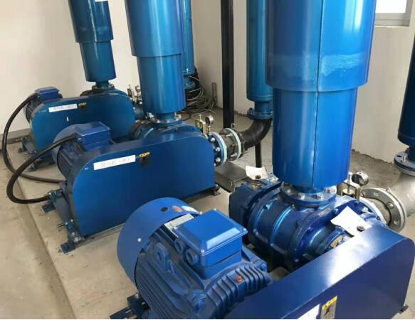 SSR-150整套羅茨風(fēng)機(jī)用環(huán)氧漆噴涂 進(jìn)口NSK軸承